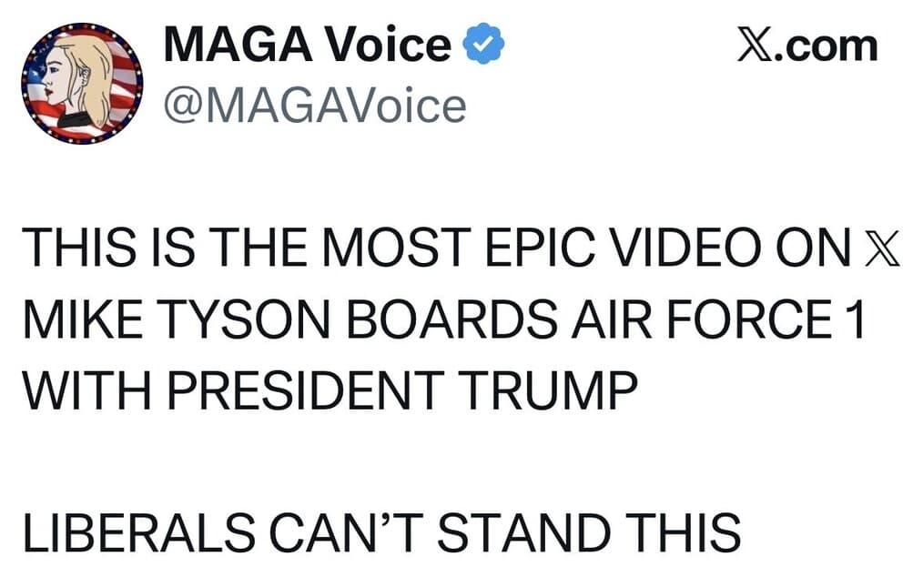 Media 1