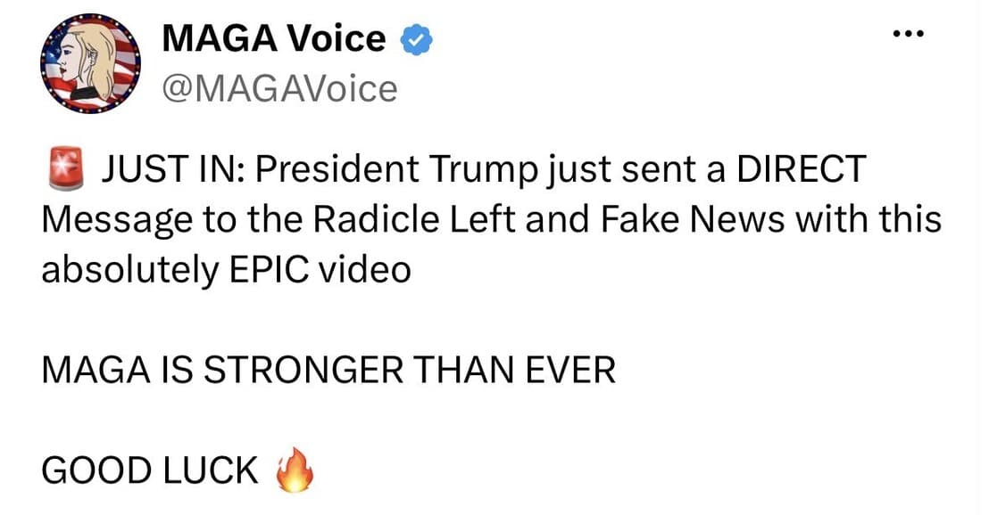 Media 1