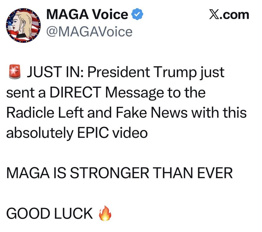Media 1