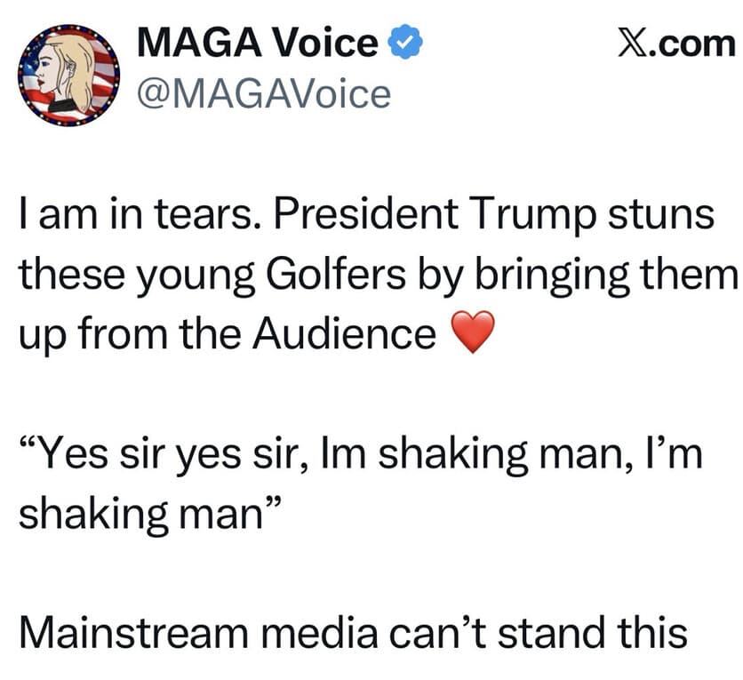 Media 1