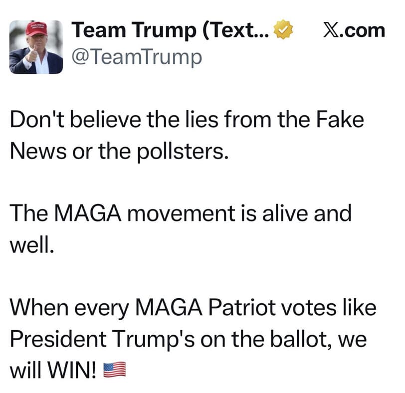 Media 1